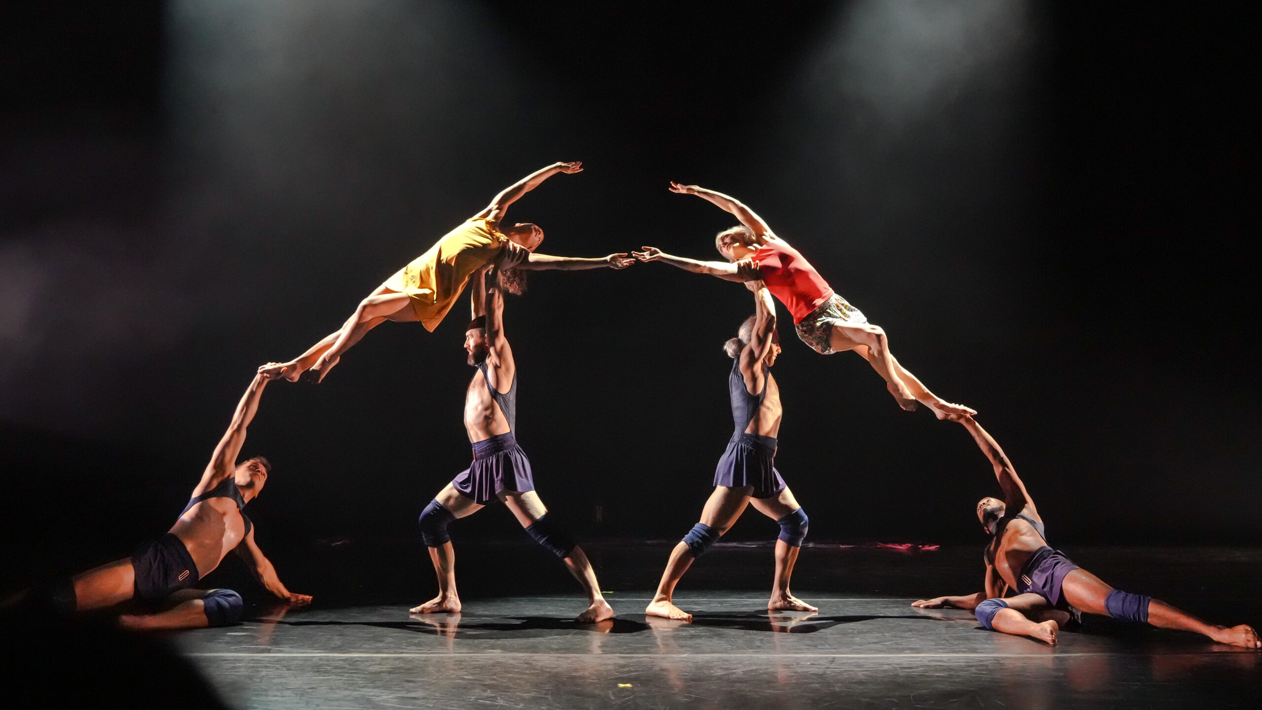 Pilobolus